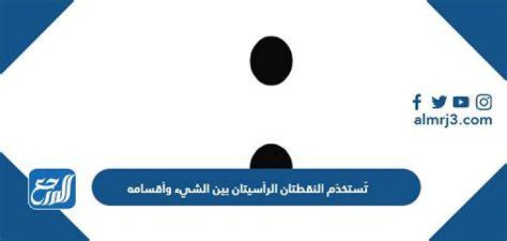 استخدام النقطتين الرأسيتين بين الشيء وأقسامه: دليل عربي عملي